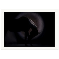 54a6b69a-504f-4afd-a842-76102a231ca8