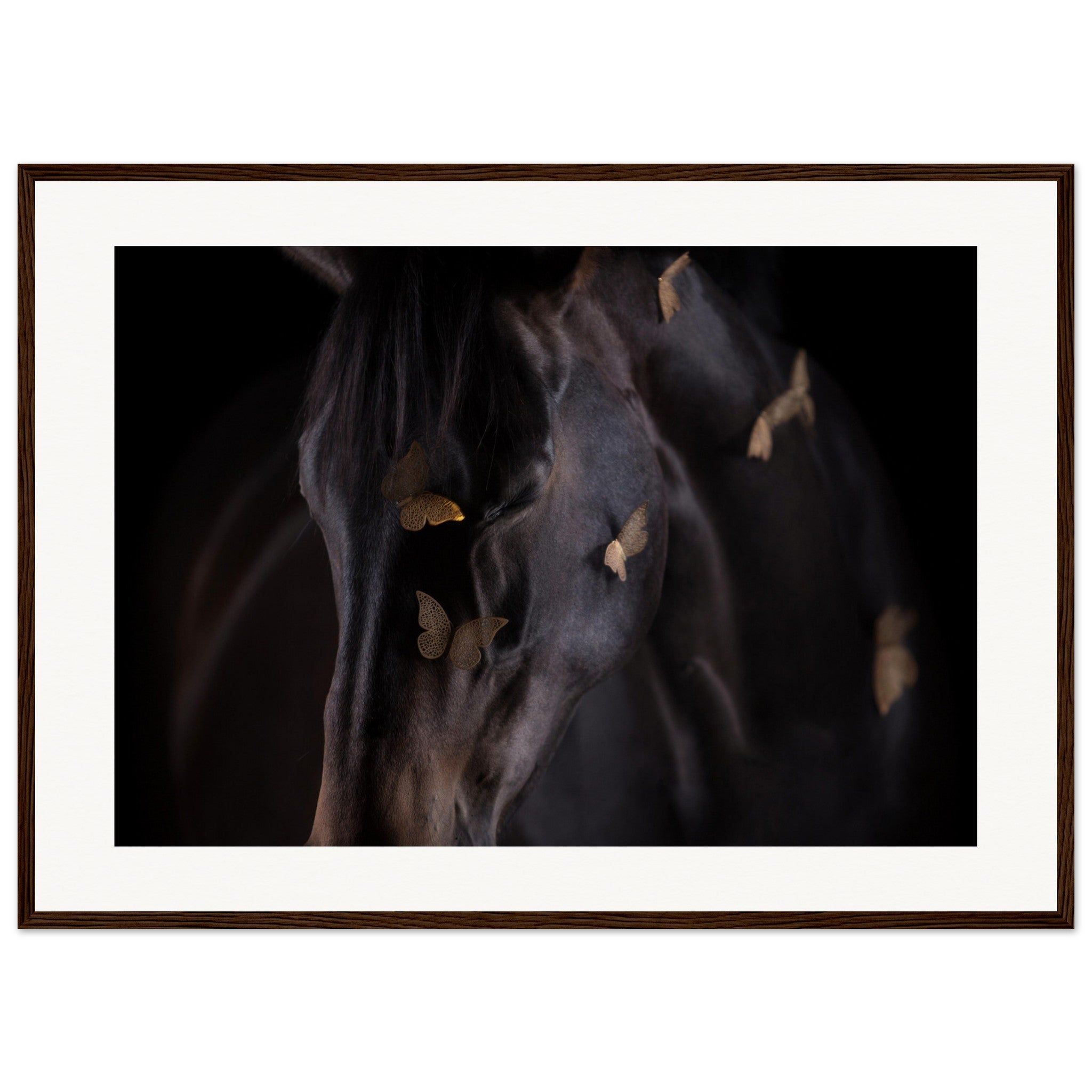 54daefc2-d812-4bc6-b211-94285b00b2c7