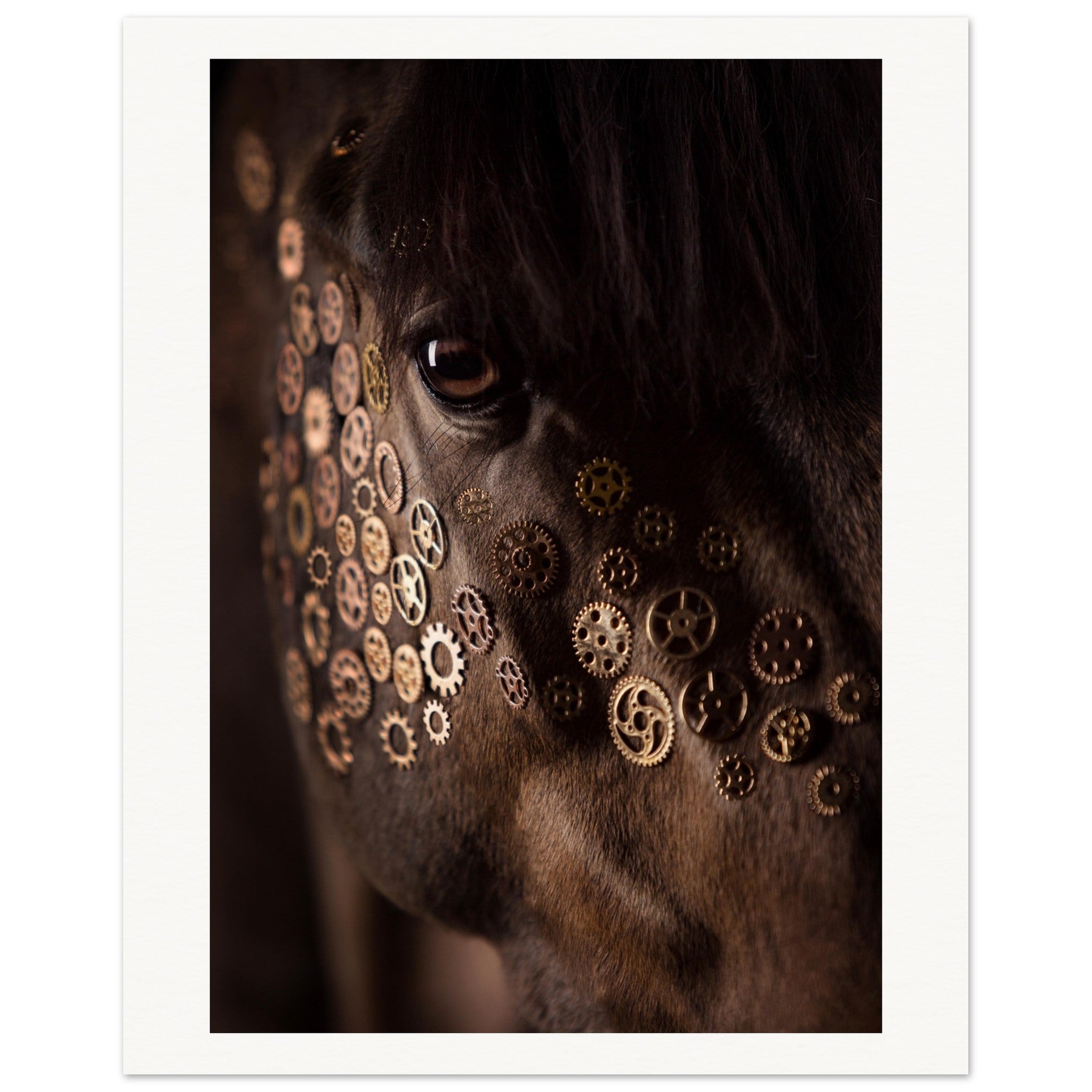 551b37ac-680f-4c03-8024-21ff3d76f03d