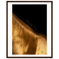 55502cd2-8759-4631-a97d-3f4e99835972