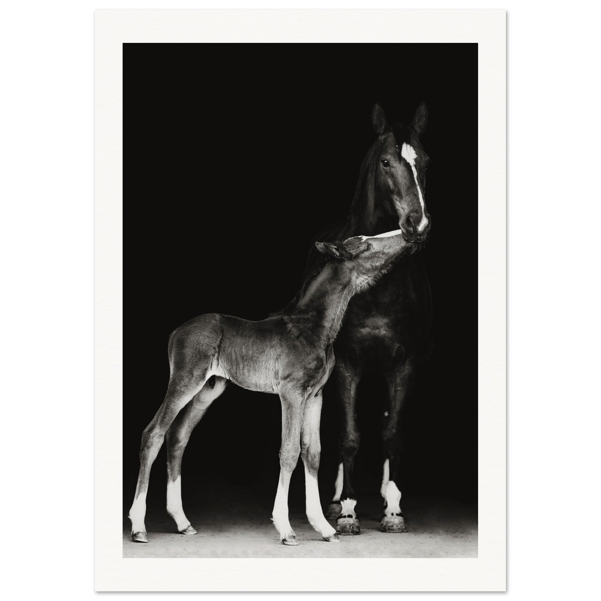 55bd3841-2311-4b48-be8b-d9c82c9005b6