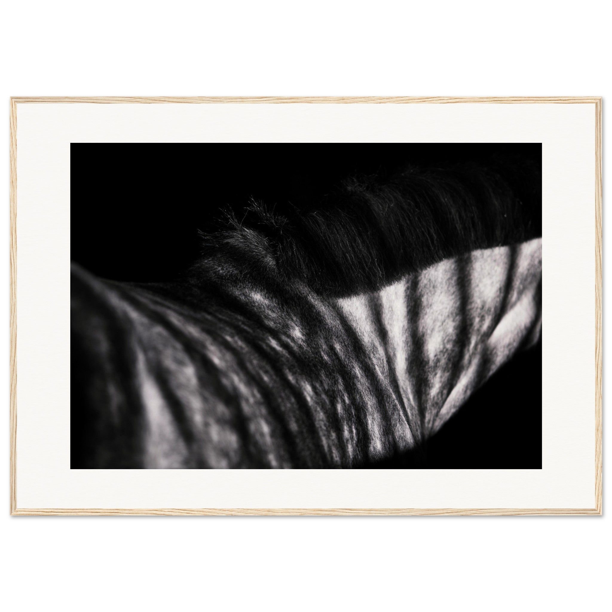 562afc04-9ec6-49ce-b8b8-29fe029f3c94