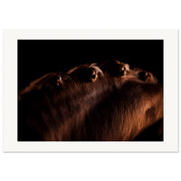 5712689f-137b-4016-83bf-505fbda108ac