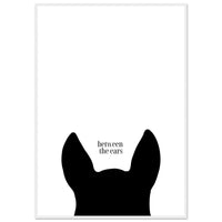 5794c246-5f0a-448f-a778-abb29e28cae2