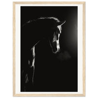 57d08cd1-e6aa-483a-8835-a684f127992e