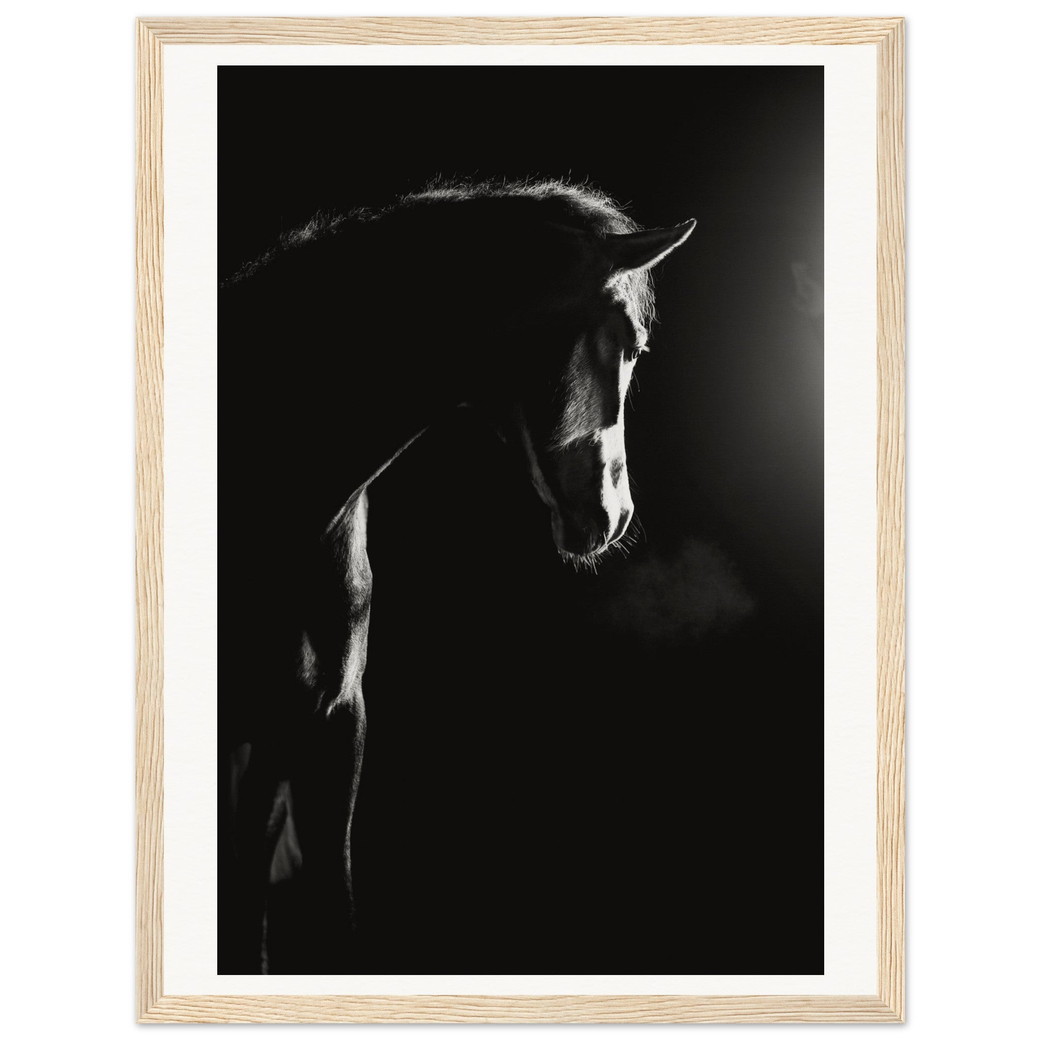 57d08cd1-e6aa-483a-8835-a684f127992e