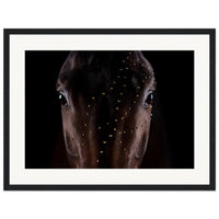 583ffe64-318e-41bf-be0e-4440ac7cd378