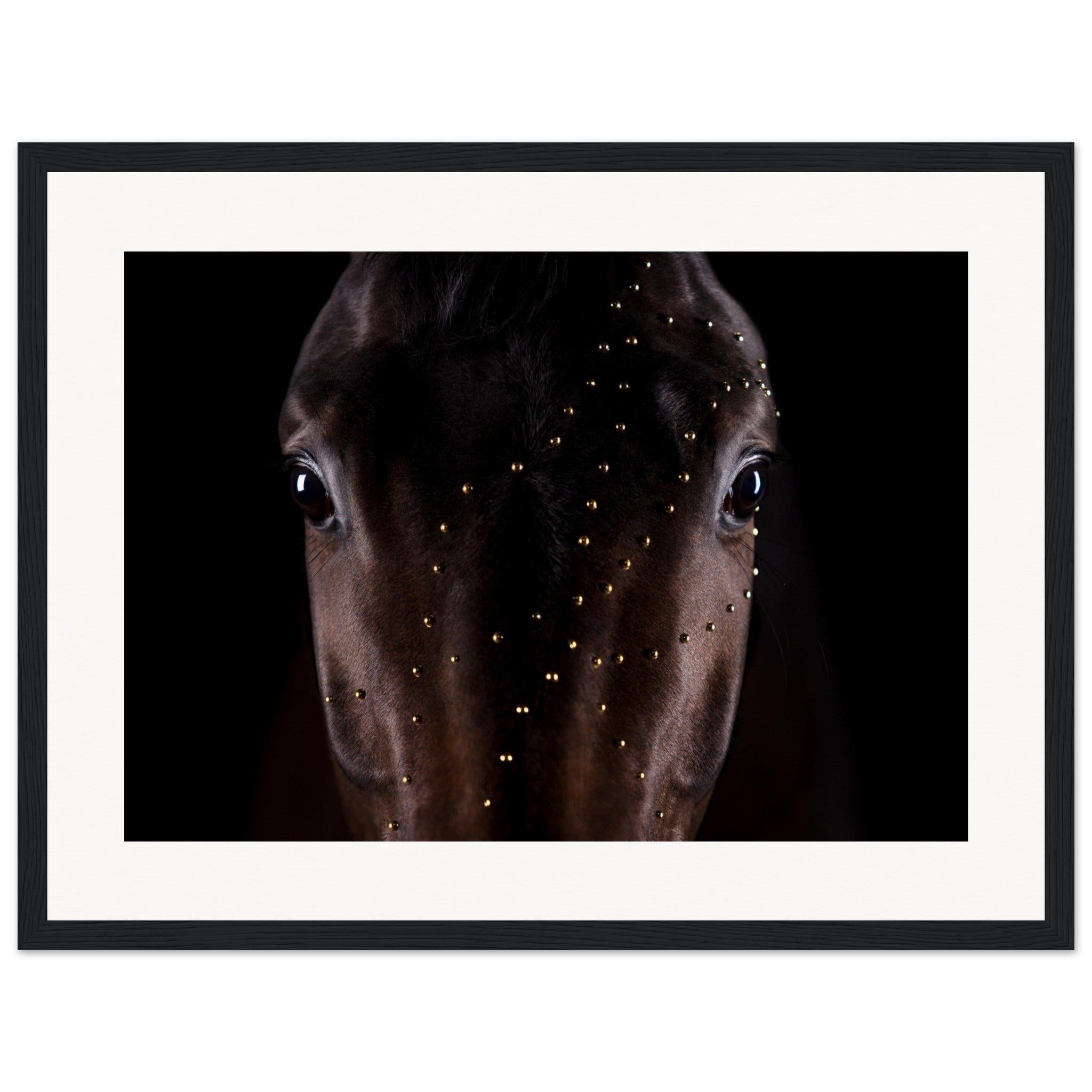 583ffe64-318e-41bf-be0e-4440ac7cd378