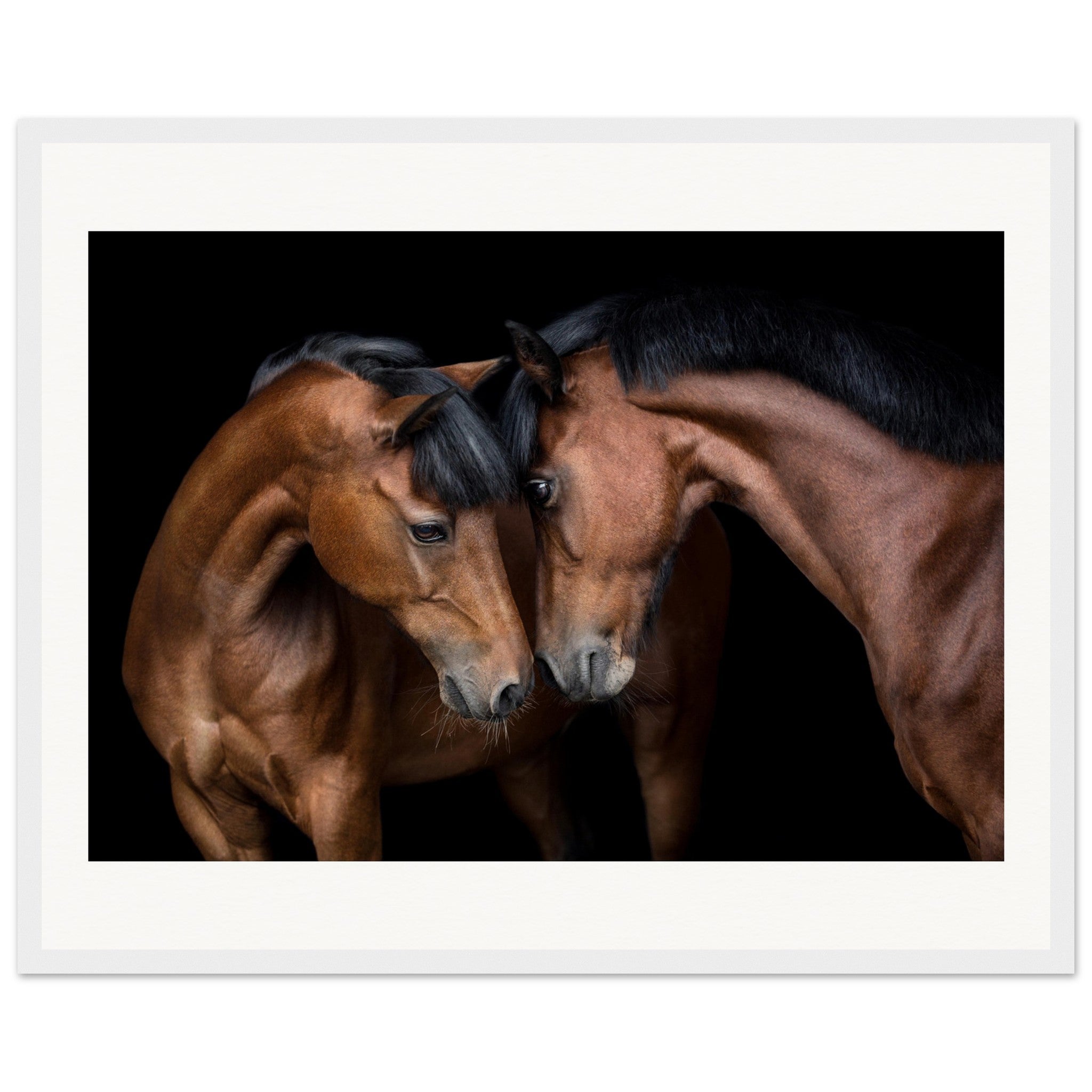 58be6990-9e01-45fb-b52d-4e9463a0c576