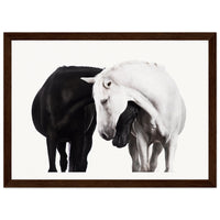 58c885e8-0f06-402d-9d38-cfe563cade03