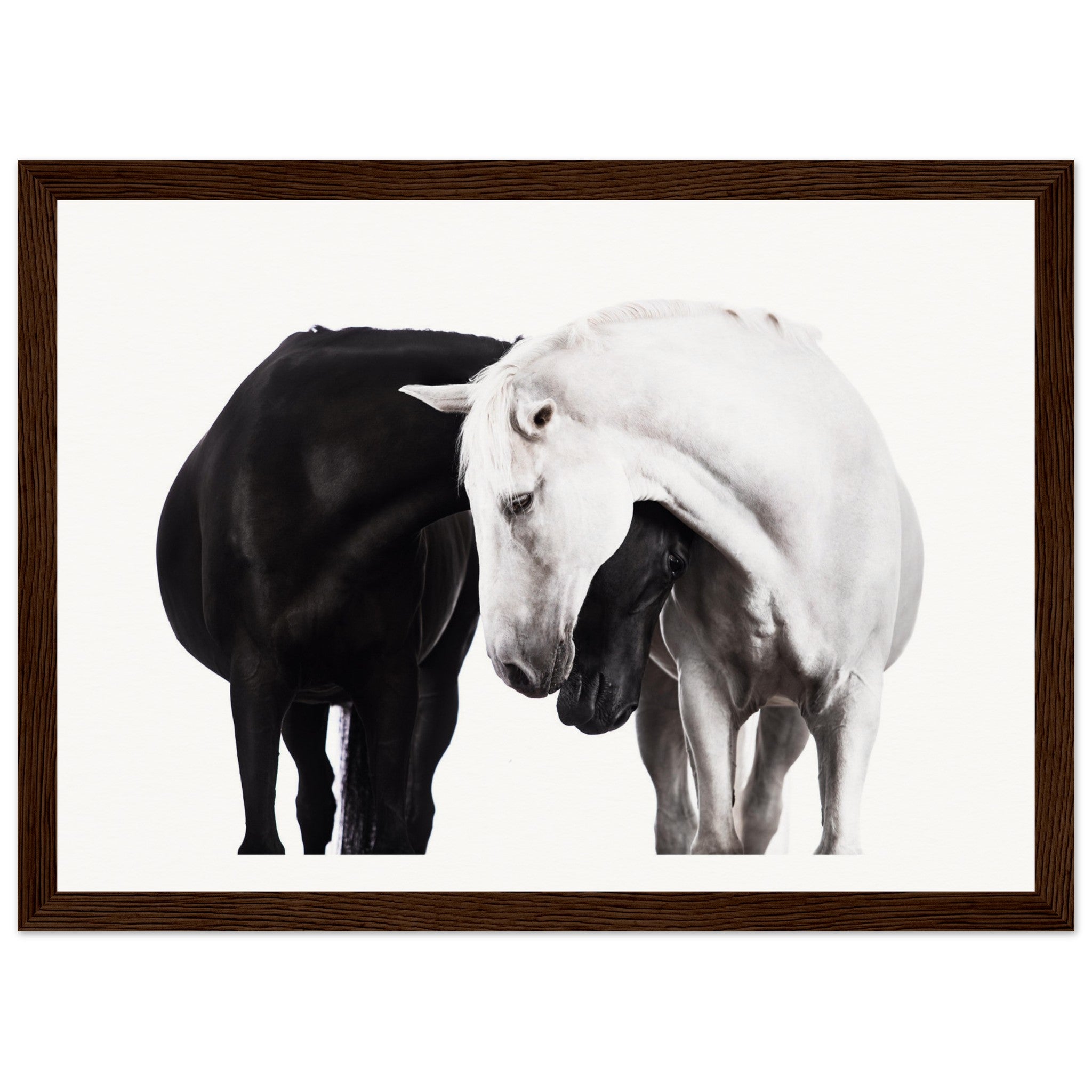 58c885e8-0f06-402d-9d38-cfe563cade03