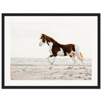 58dcb06a-e15b-4999-8976-f7a578344158