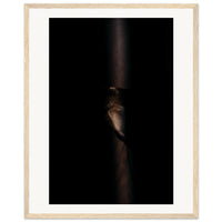 58e28b92-4437-459c-998e-abae82f37412