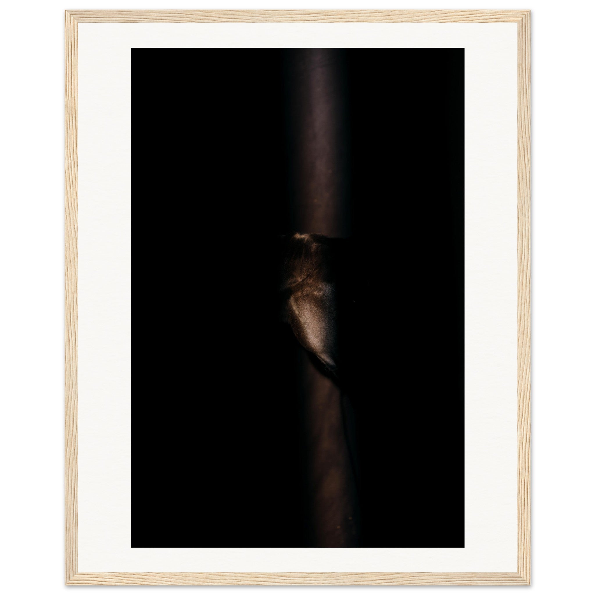 58e28b92-4437-459c-998e-abae82f37412