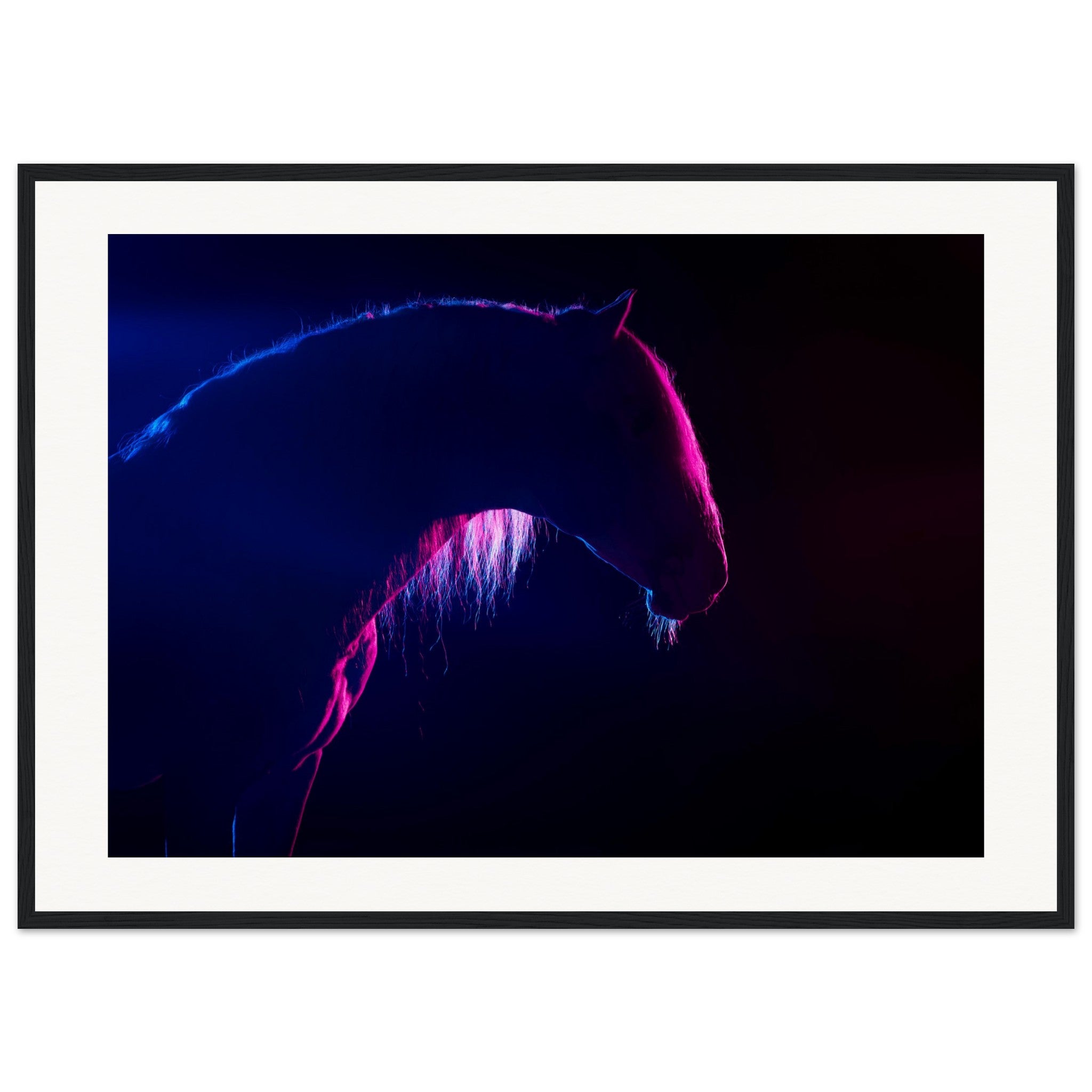 5911eac6-3371-4f52-b6aa-d59d6d8b39e0