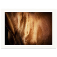 5923cd69-75ba-4c8d-be0a-2e260b565757