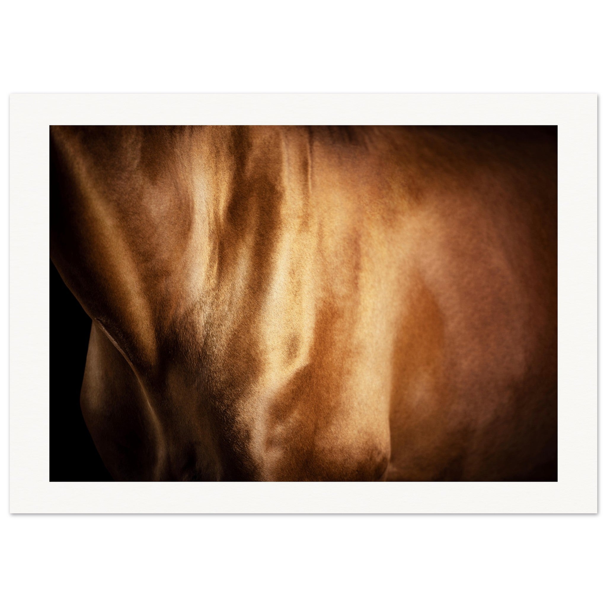 5923cd69-75ba-4c8d-be0a-2e260b565757