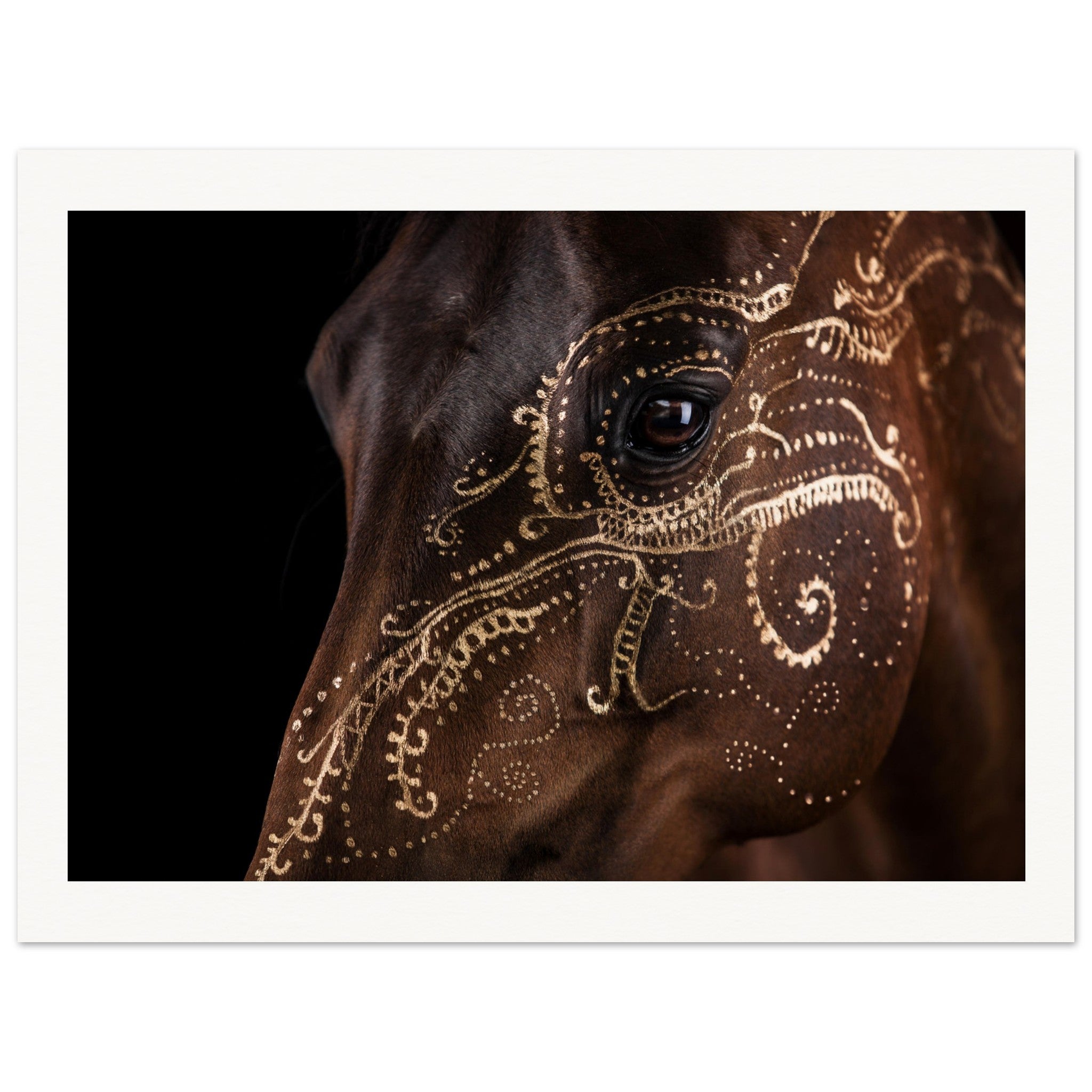 5934ae10-1fea-4ca8-a508-8ee1dc6cfead