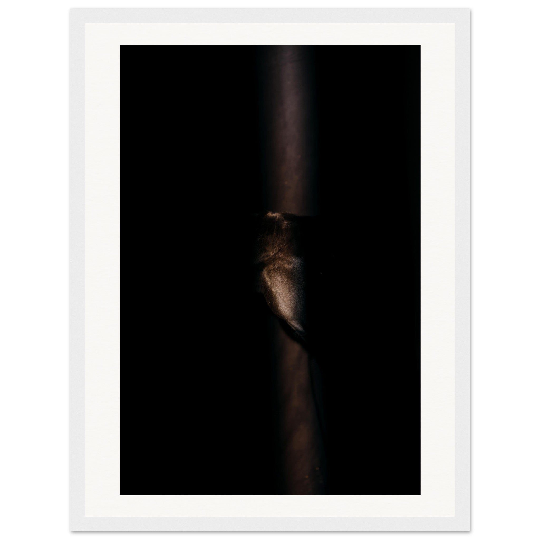 5944653f-bf8c-4a10-bbd6-c7c8fa241355