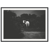 59db16b0-313b-4d9b-8c0b-a9d870d2dbcd