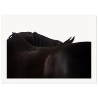 5a07ed20-ef53-49fd-96da-011aa40741e8