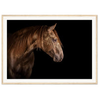 5a16f771-0a3a-40e5-b20c-35550be70035