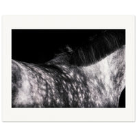 5aa64e00-d11f-4d54-a094-18d35d4da687