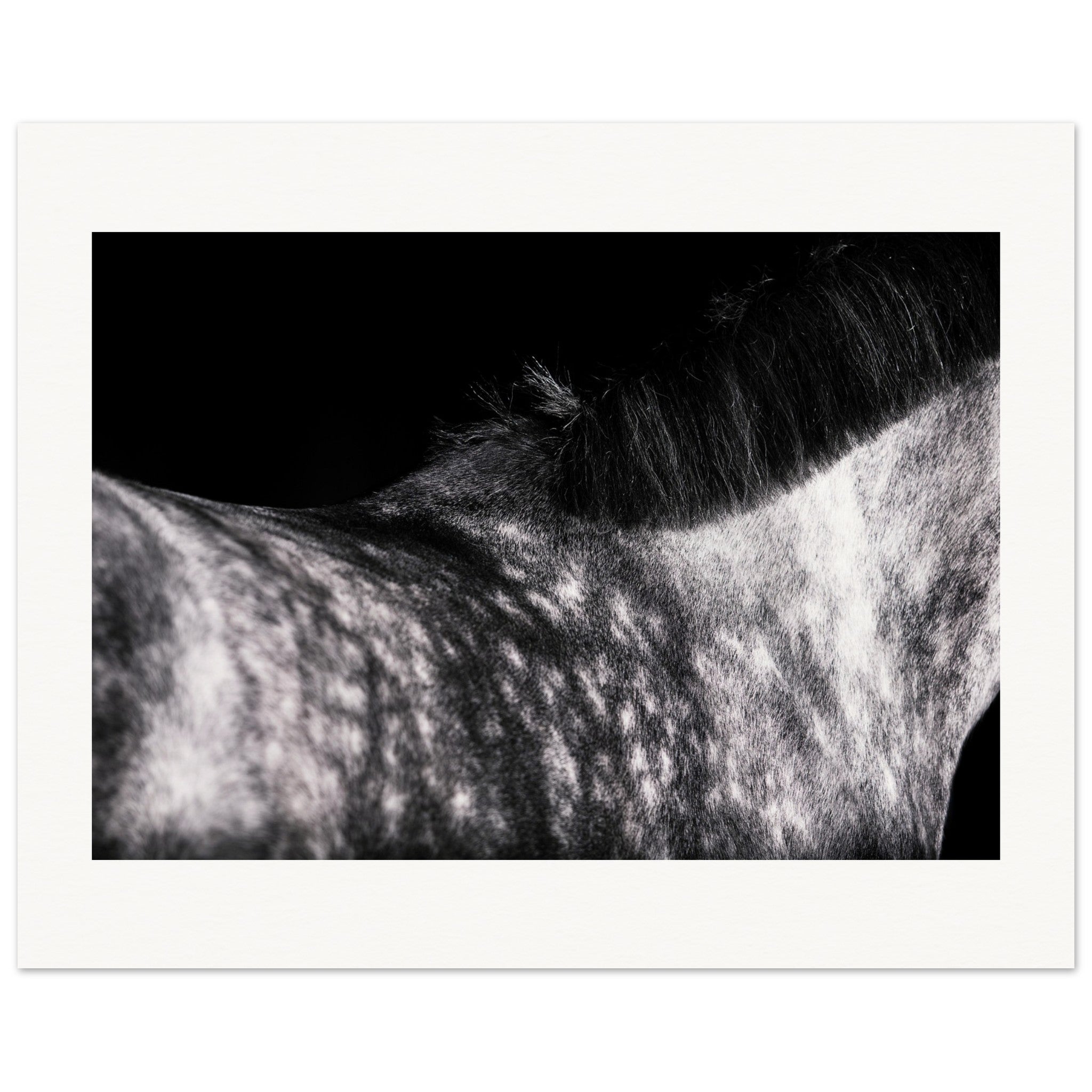 5aa64e00-d11f-4d54-a094-18d35d4da687