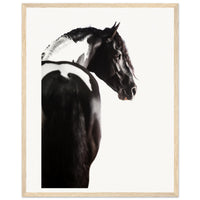 5abc9f31-744f-4504-9a30-d90c547ba195