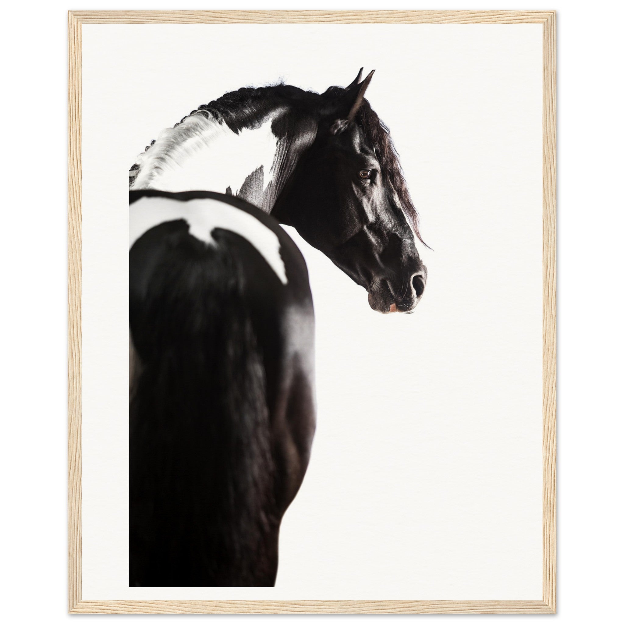 5abc9f31-744f-4504-9a30-d90c547ba195