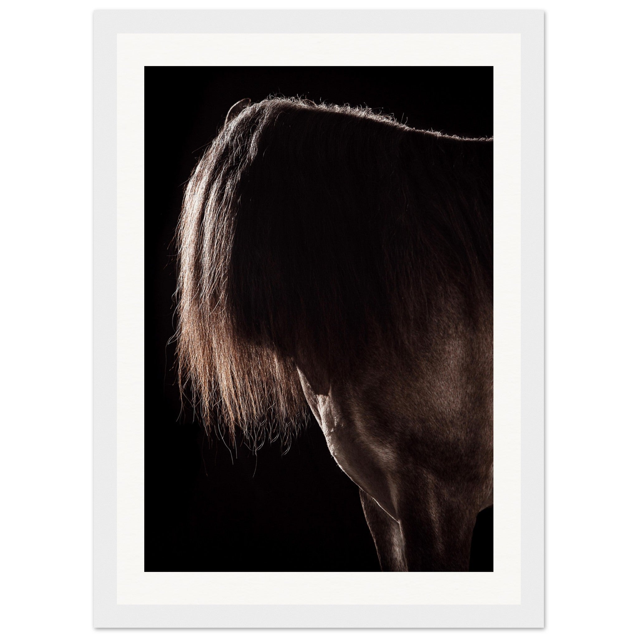 5ad583ff-4b35-4723-8e5e-39591e4a00f2