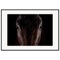 5afb7d2b-f23a-4fbe-baa6-c11ebe302636