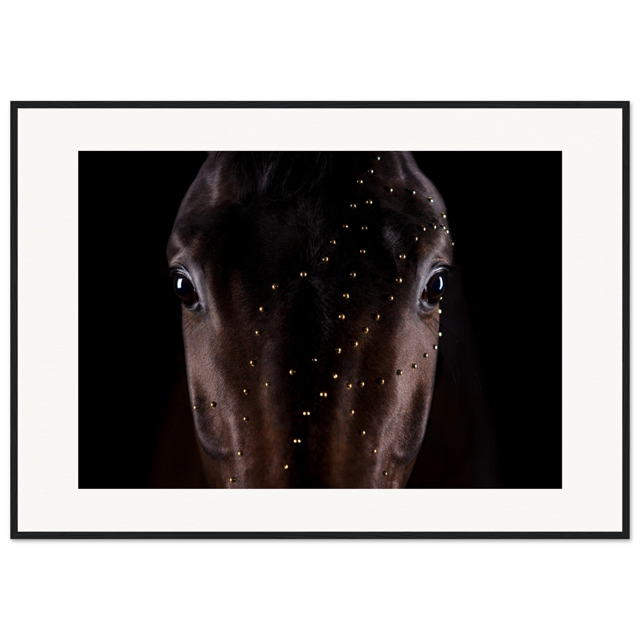 5afb7d2b-f23a-4fbe-baa6-c11ebe302636