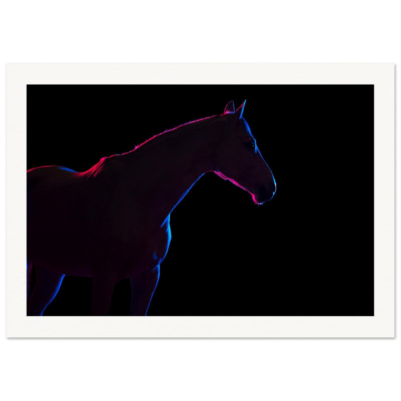 5b272fad-ef2b-40d0-b2a0-cc6d06b18d87