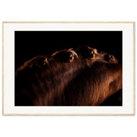 5b43de26-4dab-4d44-8977-d1484d1a33f8