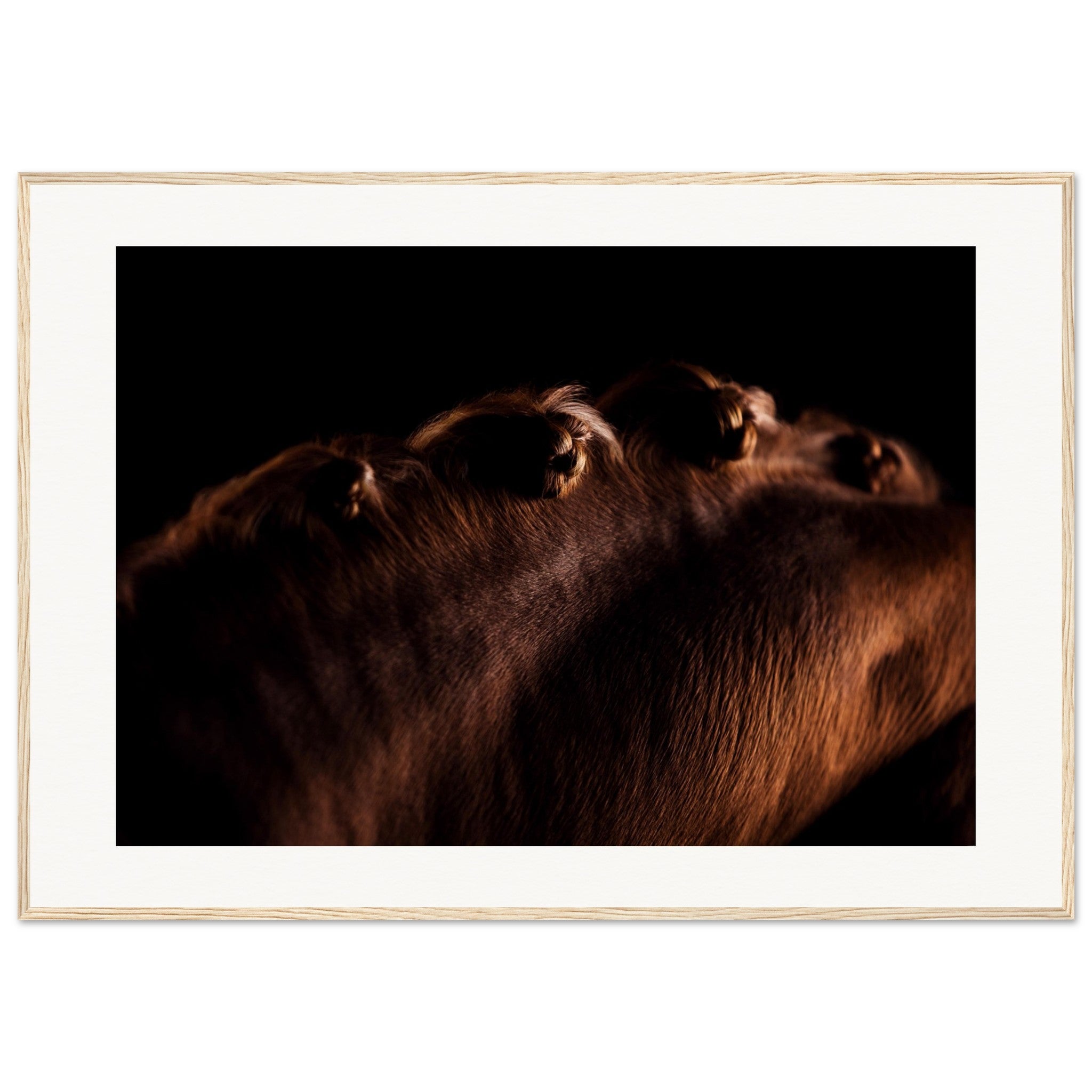 5b43de26-4dab-4d44-8977-d1484d1a33f8