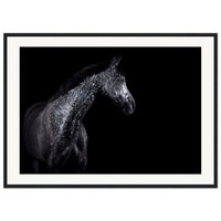 5b5d6ffb-3bfb-4fe3-ba8f-332299cf7e8e