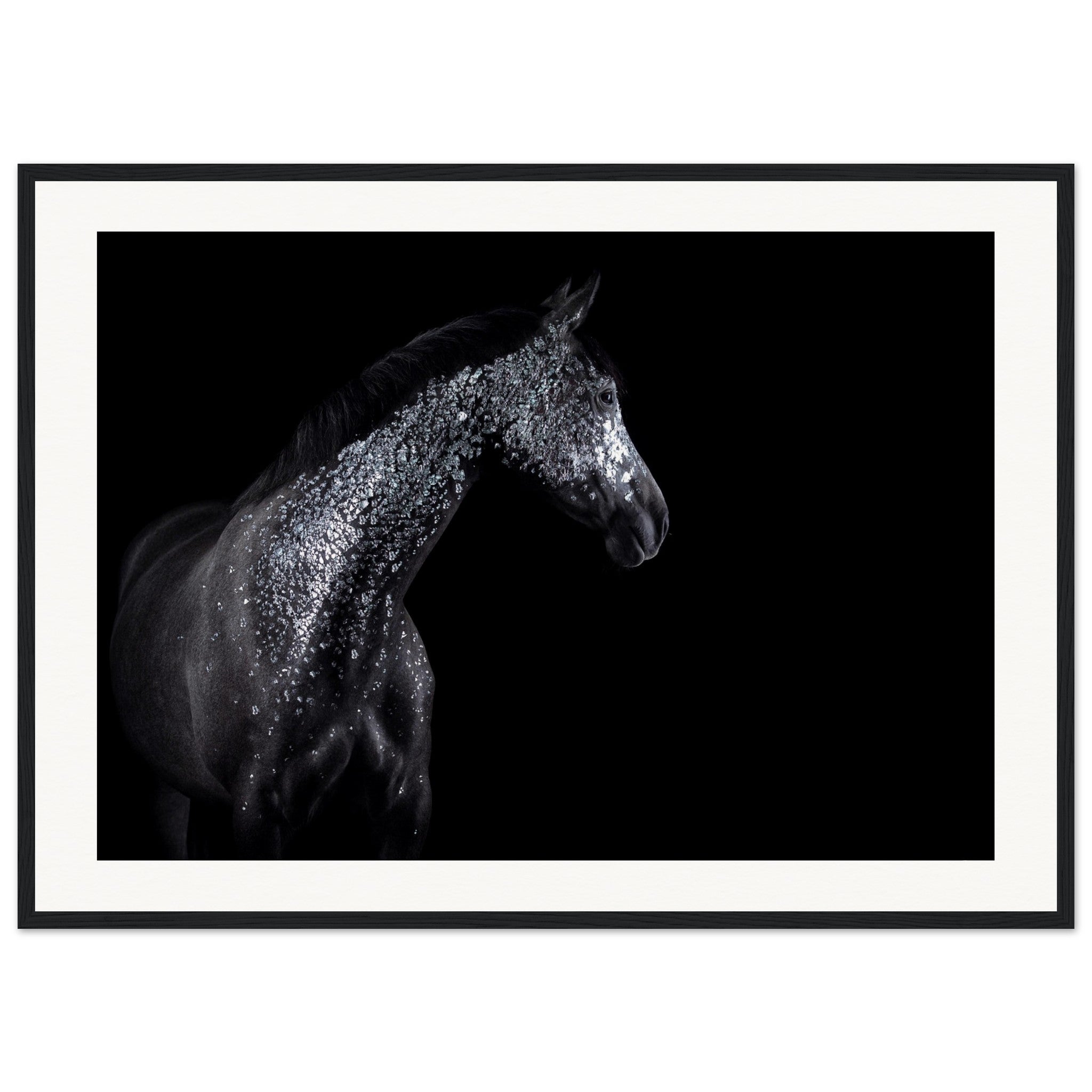 5b5d6ffb-3bfb-4fe3-ba8f-332299cf7e8e