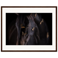 5b6a168b-1872-4317-a6e4-f77e67a718b2