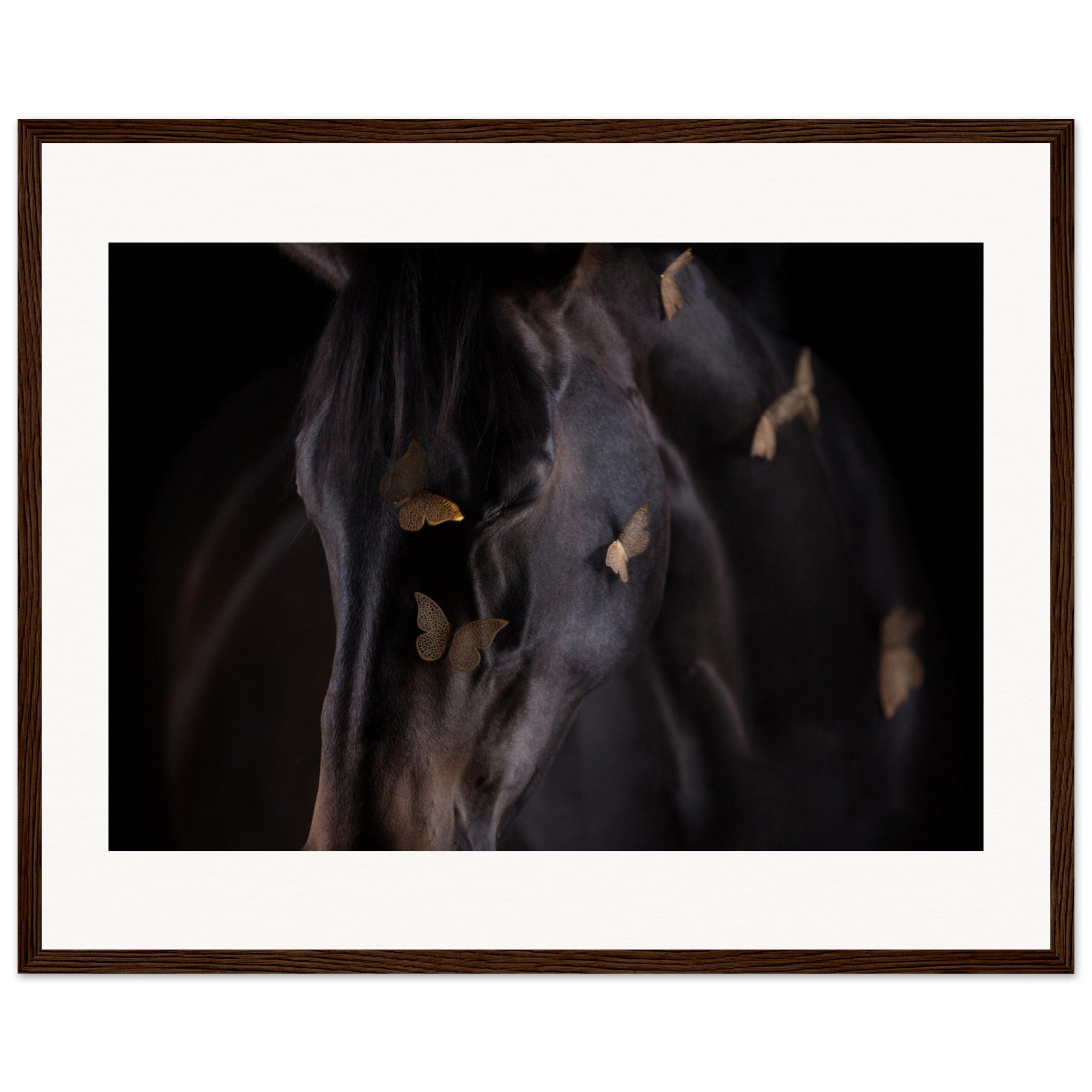 5b6a168b-1872-4317-a6e4-f77e67a718b2