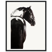 5b7d5d9b-d47b-4155-8c3d-6d3ded99c564