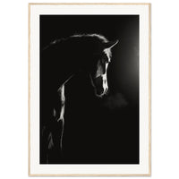 5c4724f6-d19c-4717-99b4-a9ff537ae7d7