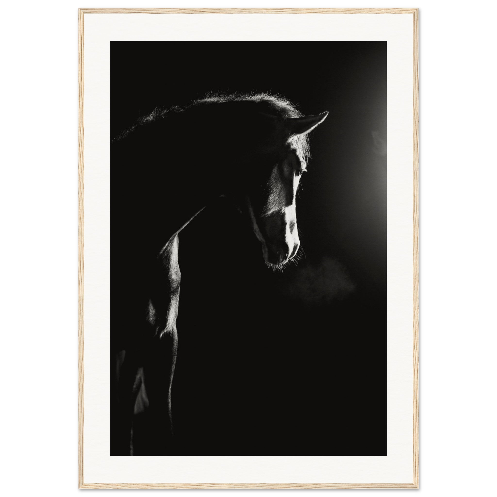 5c4724f6-d19c-4717-99b4-a9ff537ae7d7