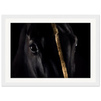 5c75cee0-930d-42a0-87df-02bf80cb34a5