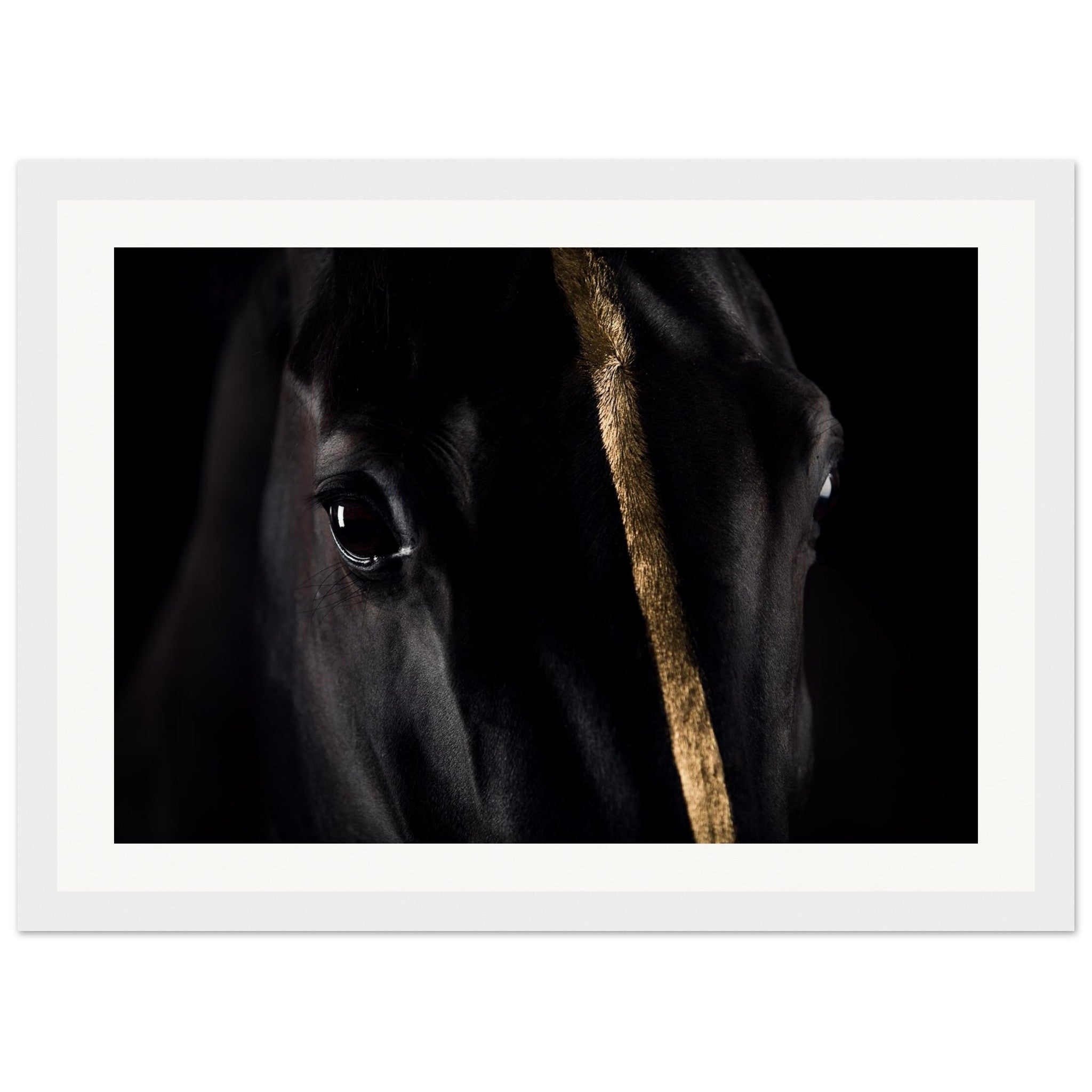 5c75cee0-930d-42a0-87df-02bf80cb34a5