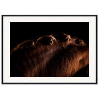 5c7f09a2-7b01-4b53-9db0-4d47d8ed81d4