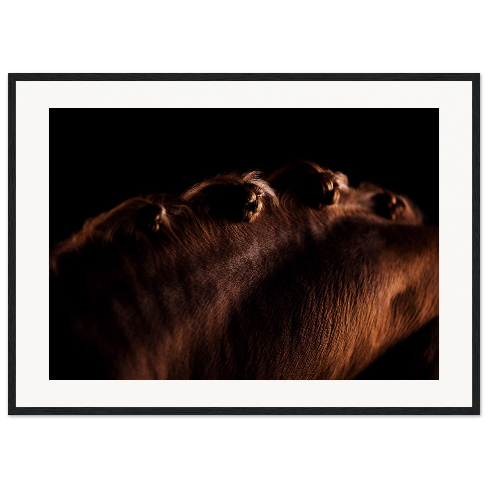 5c7f09a2-7b01-4b53-9db0-4d47d8ed81d4