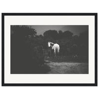 5c7fdbf1-86a6-470e-8ff0-c9ef8bc30a23