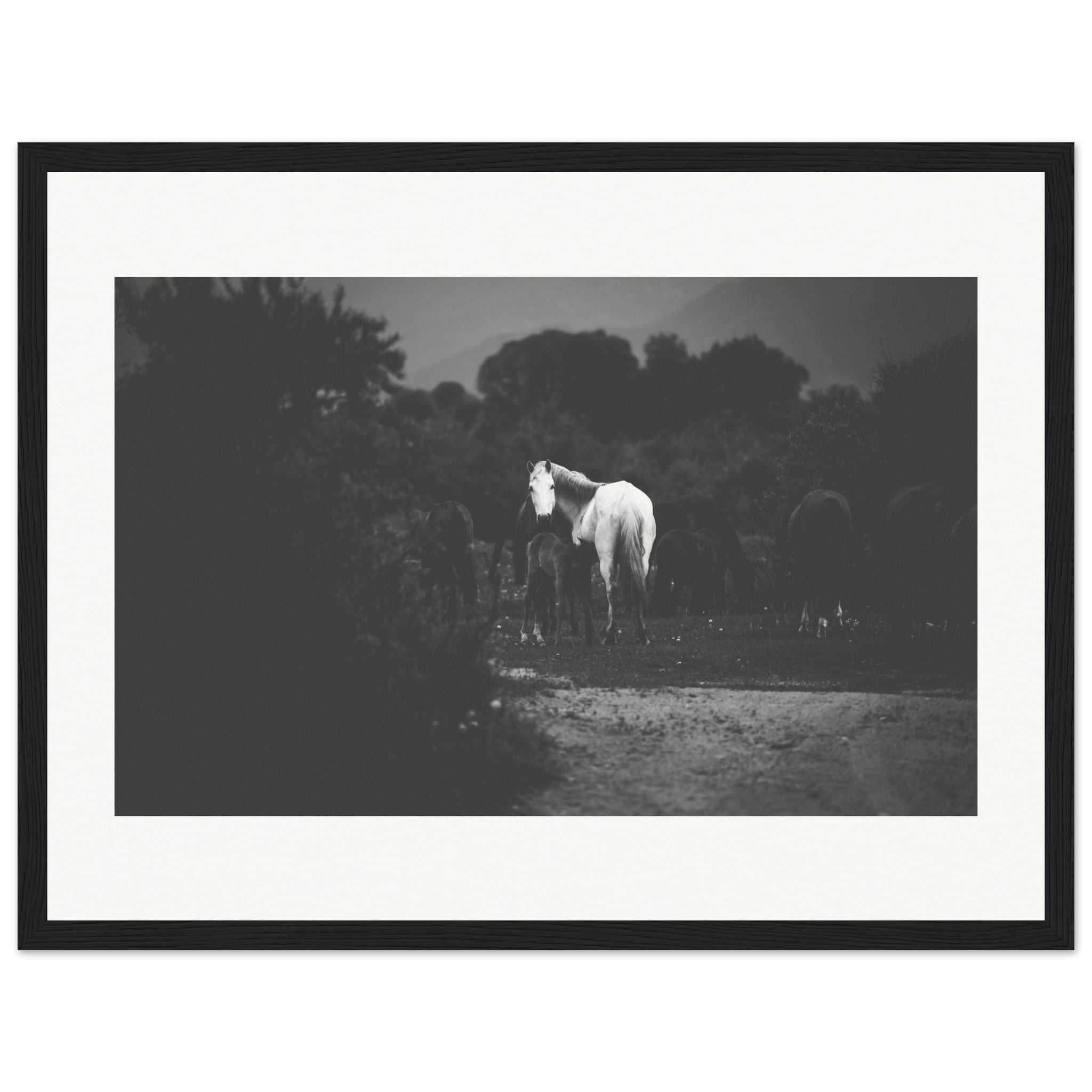 5c7fdbf1-86a6-470e-8ff0-c9ef8bc30a23