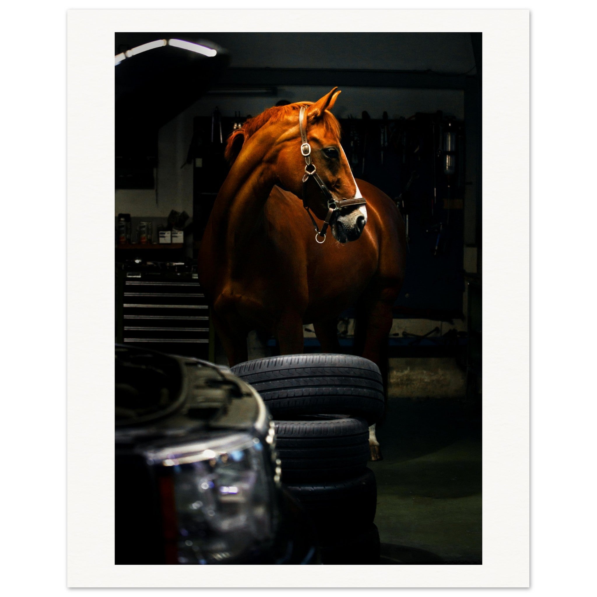 5c9eff73-a76c-401e-83b3-d9938022c631